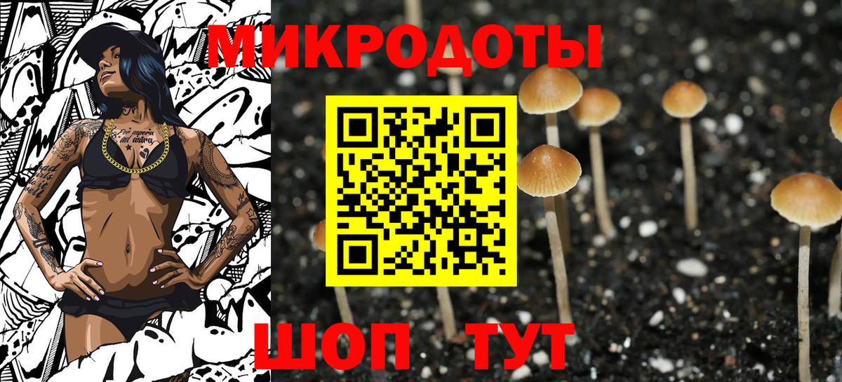 Псилоцибиновые грибы Cubensis Муравленко