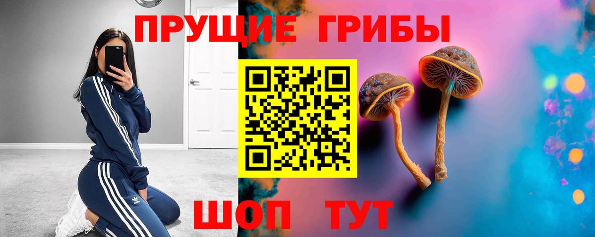 Псилоцибиновые грибы мухоморы  Вход с VPN  Муравленко 